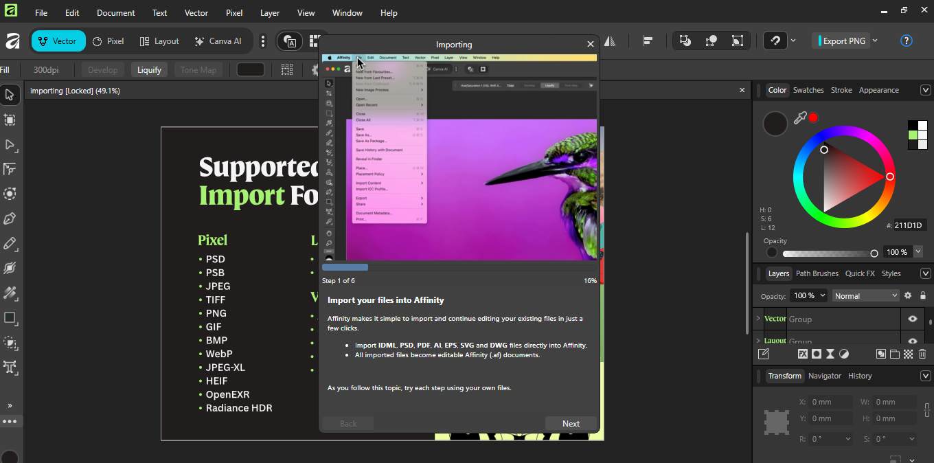Affinity official website 2025 free version