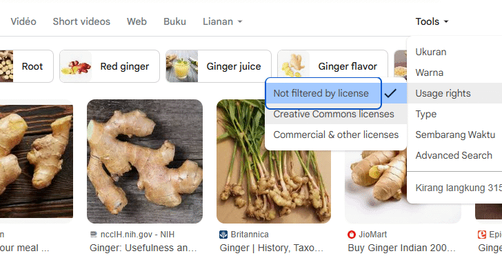 Searching free Creative Commons images on Google using usage rights filter