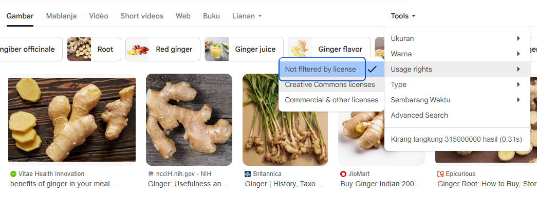 Searching free Creative Commons images on Google using usage rights filter