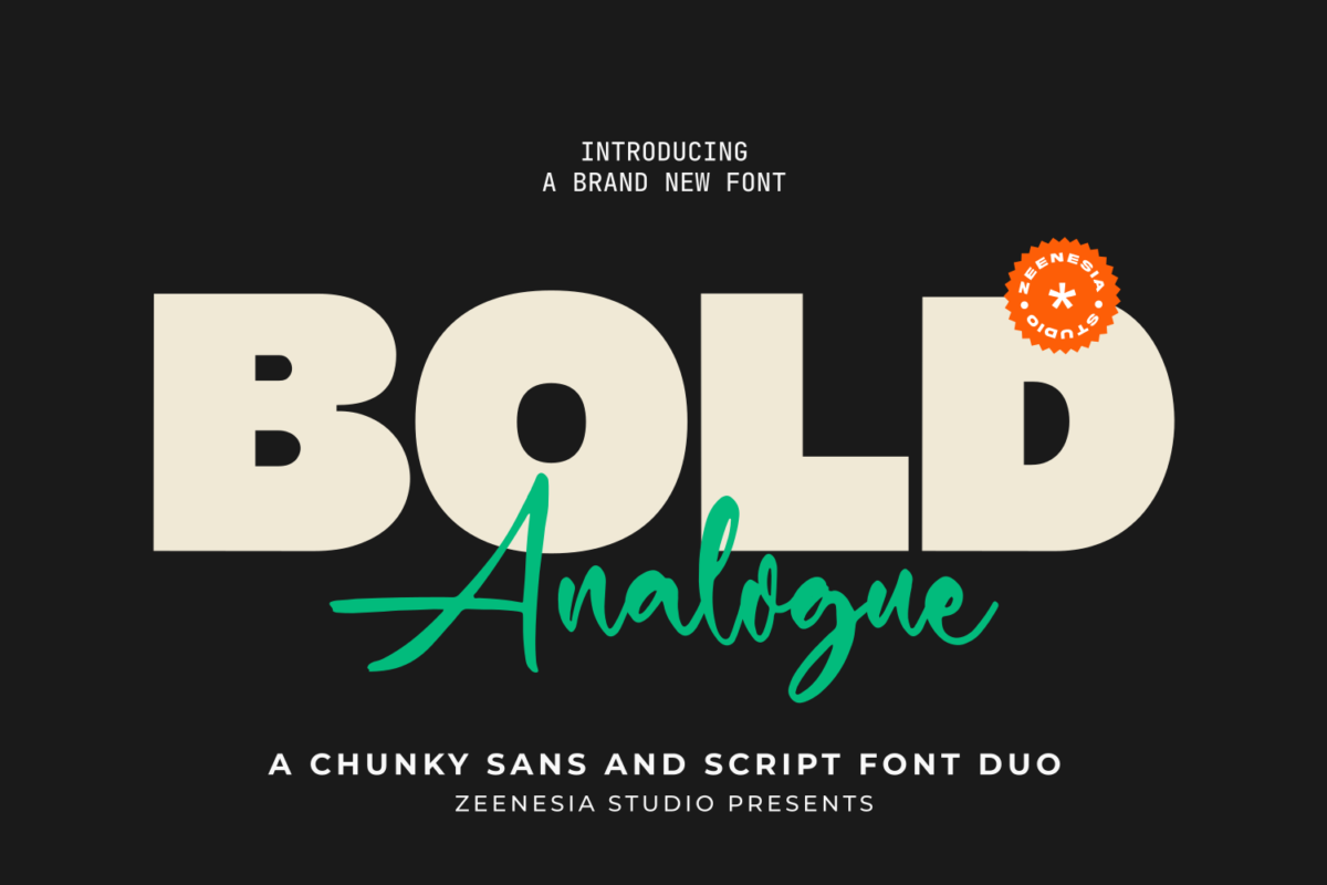 Bold Analogue Font Duo
